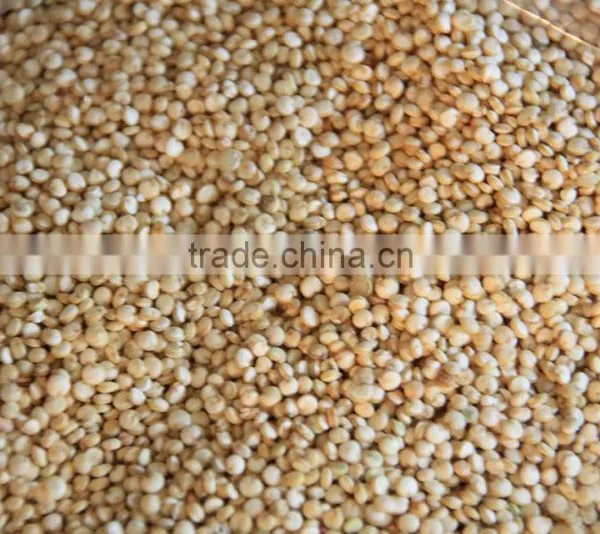 Quinoa Seeds Sorting Machine Color Sorter Machine photo-3