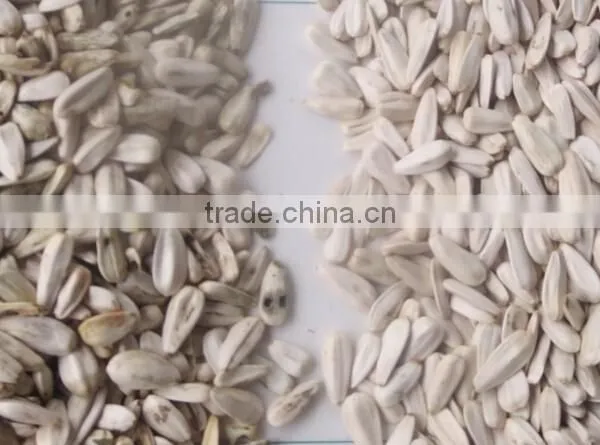Sunflower Seeds/sunflower Kernel New Type Agriculture Color Sorter Machine photo-3