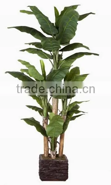 SJ0301115 Ornamental Landscaping Aquarium Plants Garden Decorative Green Plants photo-5