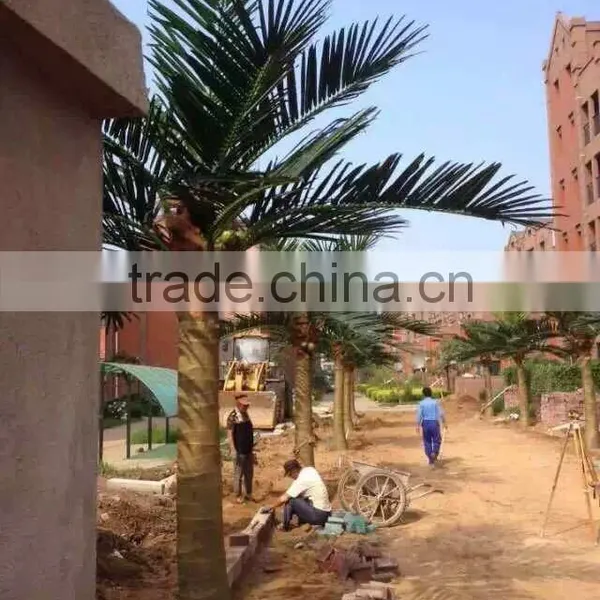 Artificial Palm Tree for Decoration China Fake Garden Fiberglass Tree Decor photo-4