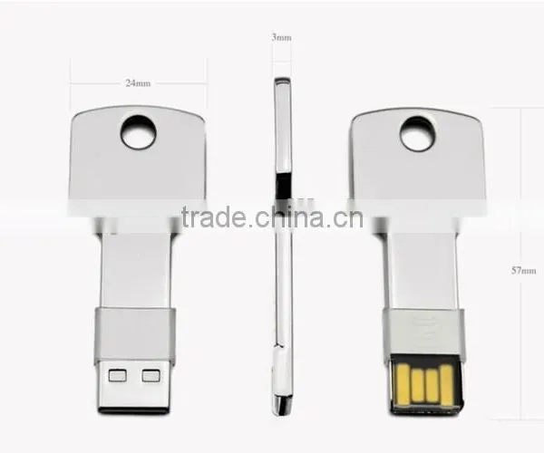 Free Sample OEM Custom Logo U Disk, Key USB Flash Stick, 8gb USB Flash Drive photo-5