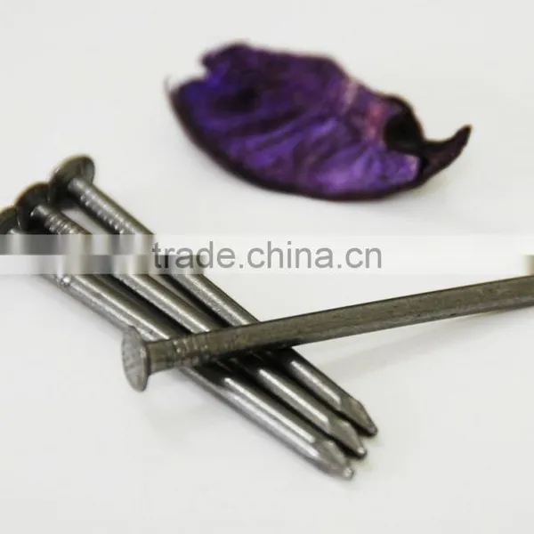 Round Nail/round Wire Nails photo-5