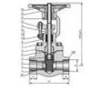 Compact Steel Gate Valve
