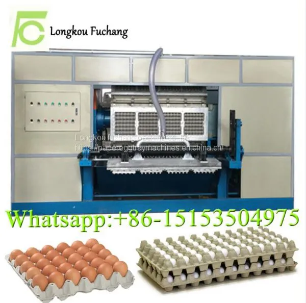 Eggs Cartons Making Machine Eggs Trays Machine Packaging for Quail Eggs Whatsapp:0086-15153504975 photo-3