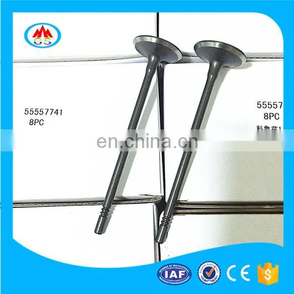 Motocross Dirt Bike Accessories Intake Exhaust Engine Valves For Honda Cg 150 Cg150 160 Titan photo-6