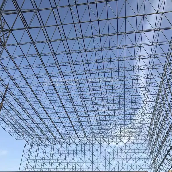 Steel Structure Space Frame Light Steel Coal Storage Grid Steel Structure