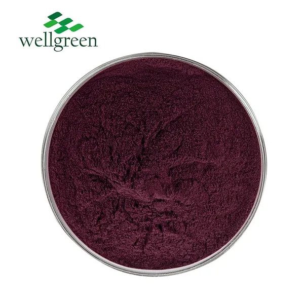 FREE SAMPLE Goji Berry Powder Lcycium Barbarum Polysaccharide Goji Berry Extract Wolfberry Extract photo-2