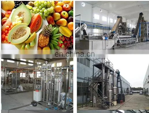Industrial Cold Press Juicer/apple Juice Belt Press photo-5