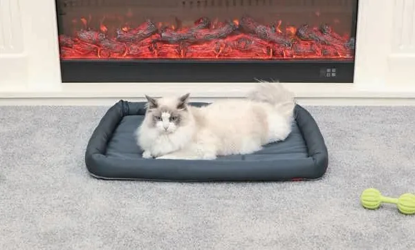 Pet Bed for Crates