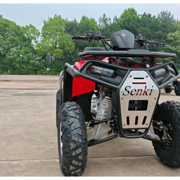 New 200CC Big Sirius Automatic Two-wheel Drive ATV Large Dual Off-road Motorcycle Cross-border Export All-terrain Vehicle photo-3