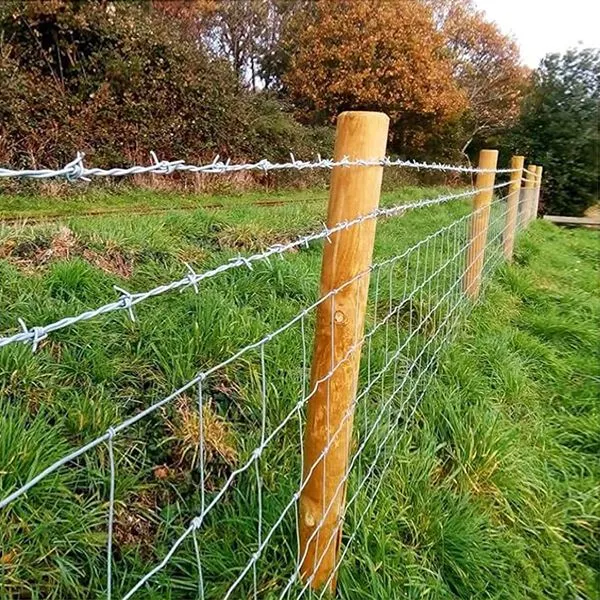 Hot Dipped Galvanized Barbed Wire Price Per Roll photo-3