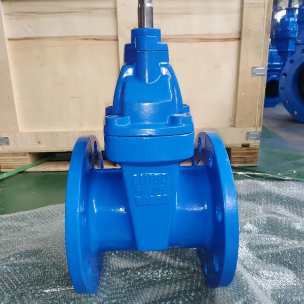 DIN DN100 PN16 Cast Iron GG25 GGG50 Ductile Iron GGG40 Gate Valve Non-Rising Stem EPDM Soft Seal Gate Valve photo-6