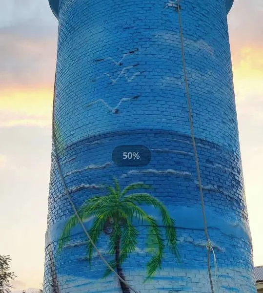 High - Altitude Wall Painting, Graffiti, and Murals on the Exterior Walls of Factories in Mayang, Huaihua. Hand - Painted Walls on Cooling Towers and Chimneys photo-5