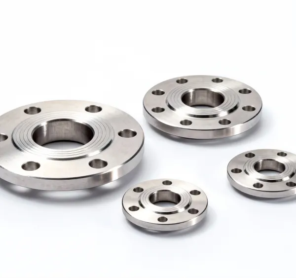 Stainless Steel Forged Flanges Manufacturer | Industrial Pipe Flanges Supplier