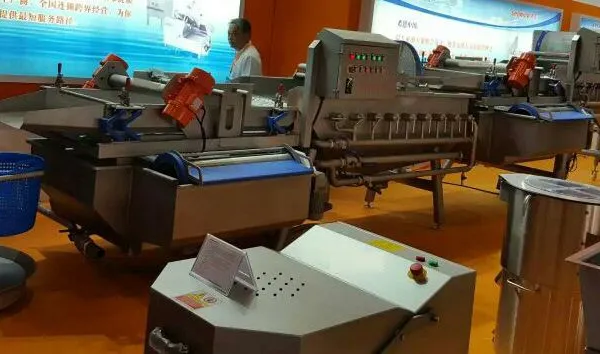 Industrial Vegetables and Fruit Washing Machine Commercial Automatic Bubble Spray Washer Equipment for Food Processing Plant photo-3
