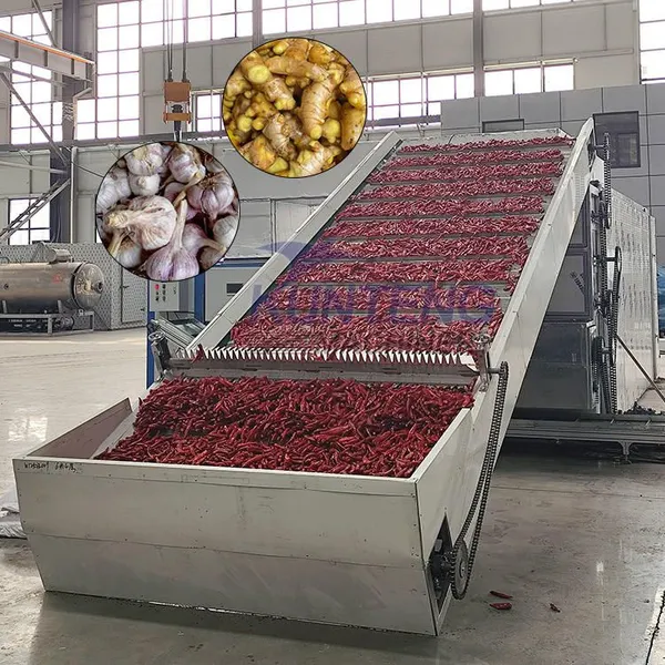 Large Industrial Chili Dryer Red Chili Dehydrator Garlic and Ginger Slices Continuous Drying Line EPC