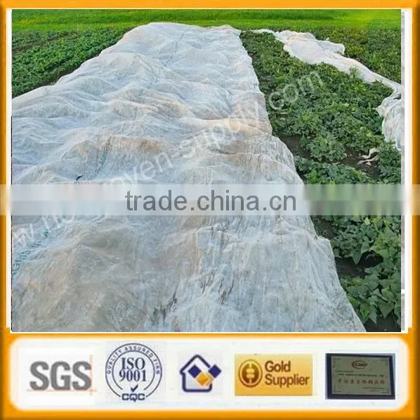 Non-woven Weed Control Cover Factory photo-5