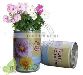 Plant in a Can photo-6