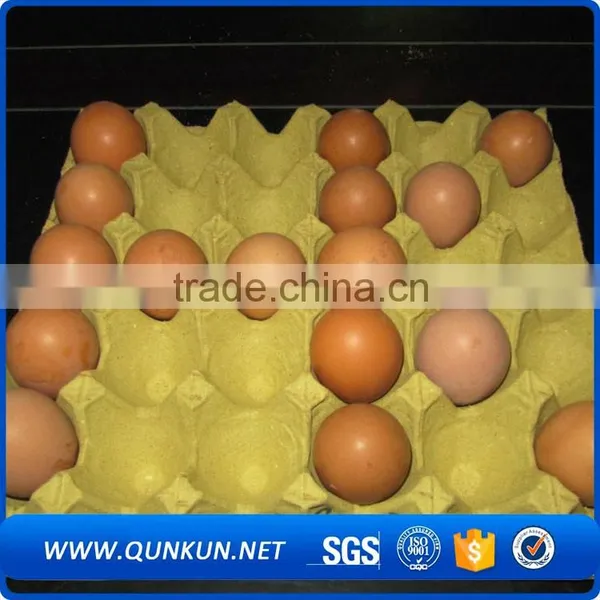 Cheap Price Transport Tray photo-6