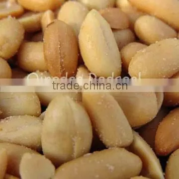 Salted and Fried Peanuts