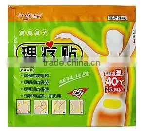 Physical Therapy&pain Relief Paste