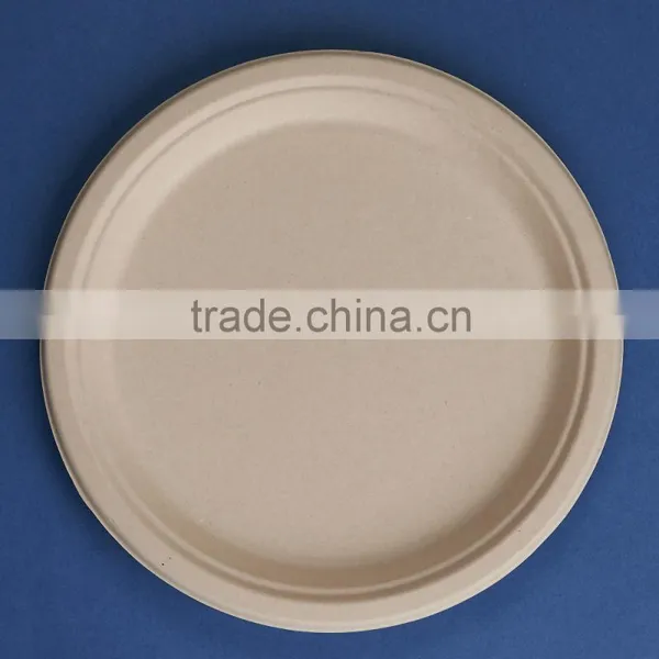 PL-10-UB Disposable Unbleached Food Dessert Bulk Pack 10 Inches Plates photo-3
