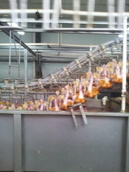 DUCK SLAUGHTER AND ABATTOIR MACHINE photo-4