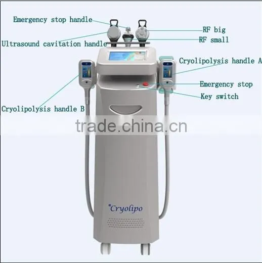 Fat Reduce Cooling Slimming Weight Loss Zeltiq Machine Cryolipolysis Fat Reducing photo-3