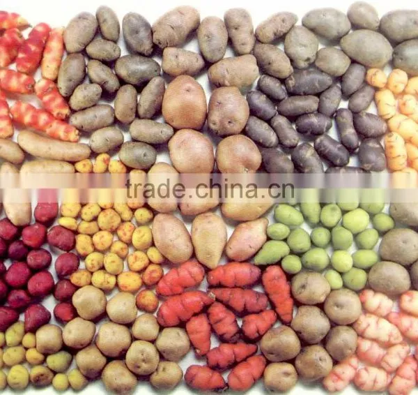 Potatoes