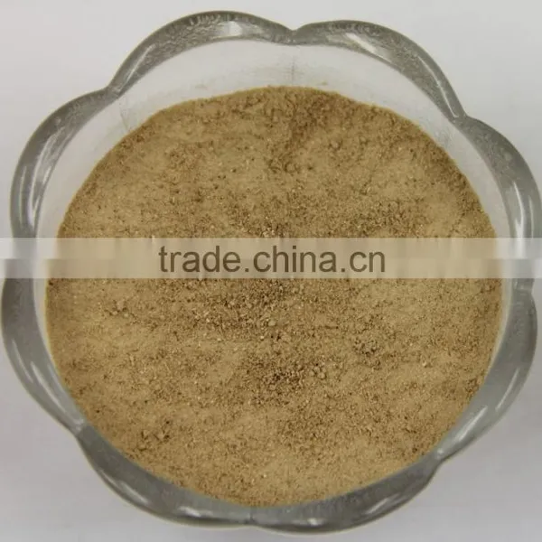 High Quality Champignon Shiitake Mushroom Extract Powder photo-2
