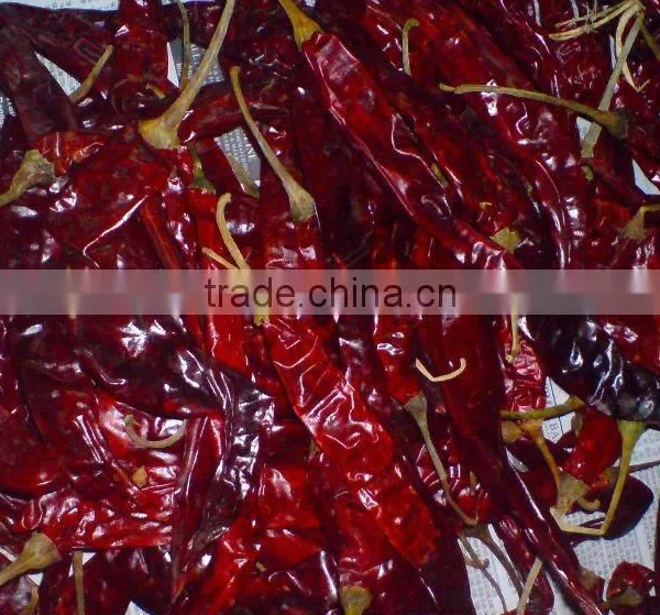 Dry Red Chili photo-4
