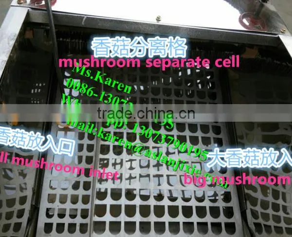 Mushroom Leg and Cap Separator Machine / Mushroom Stem Removal Machine photo-2