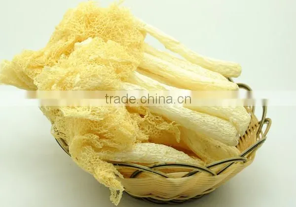 Chinese Mushroom Dried Cultivated Dictyophora photo-5