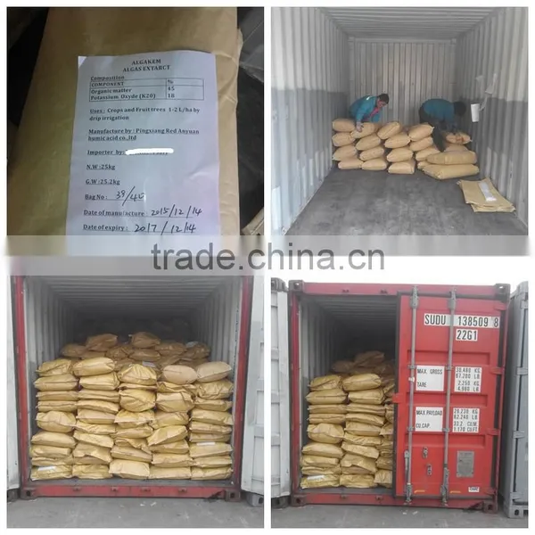 New Product Amino Acid Powder Fertilizer Grade photo-3