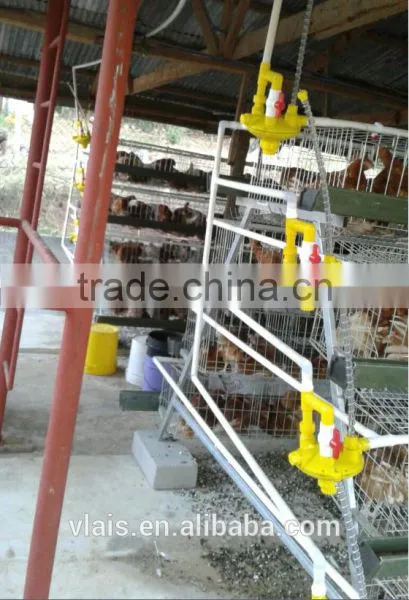 Wholesale Small Animal Cages for Automatic Chicken Cage photo-3