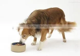 High Quality Dog Food Making Machine/ Dog Food Pellet Making Machine for Sale photo-6