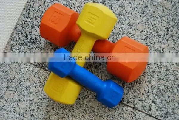 SANHONG Manufacture Cheap Plastic Dumbell for Fitness photo-2