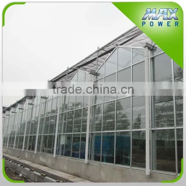 Multi-span Agriculture Glass Greenhouse photo-2