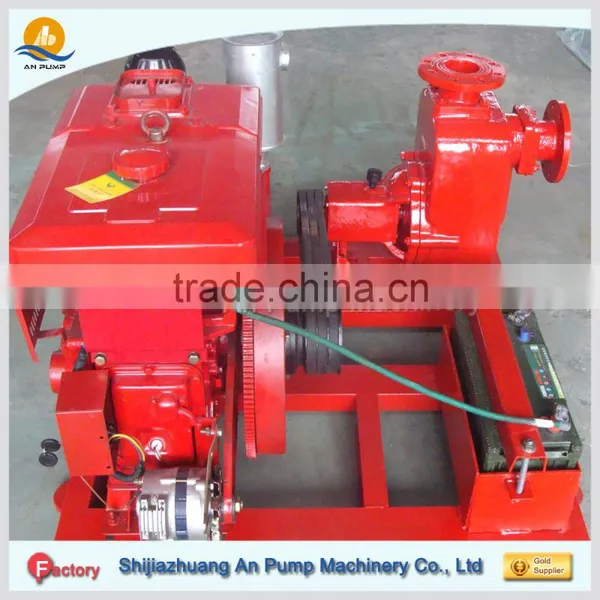 Electric Domestic Self Priming Water Lifting Pump photo-5
