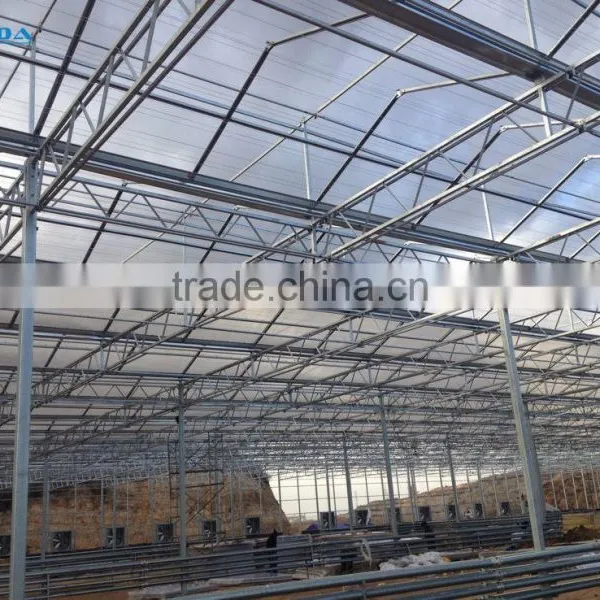 Hydroponic Greenhouse photo-3
