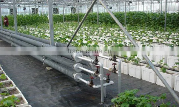 Glass Greenhouse-1 photo-4