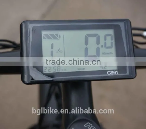 48V 750W Big Power Electric Fat Tire Bicycle ATV Ebike Mountain Bike photo-6