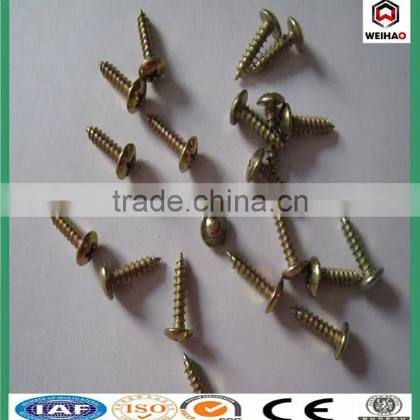 Screw/Drywall Screw/bulgy Screw/collated Drywall Screws photo-4