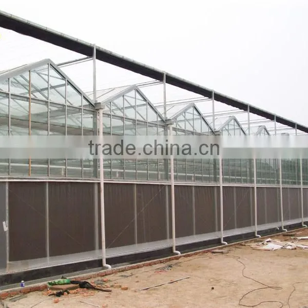 Agricultural Venlo Polycarbonate Greenhouse photo-3