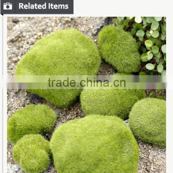 Buy Direct From China Manufacturer Roof Gardening Moss Stone photo-4