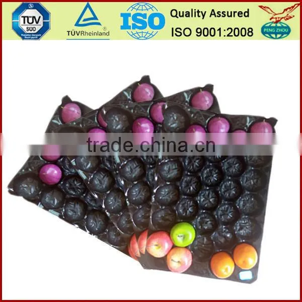2017 Different Colors White Red Black Plastic Alveolar PP Fruit Tray photo-5