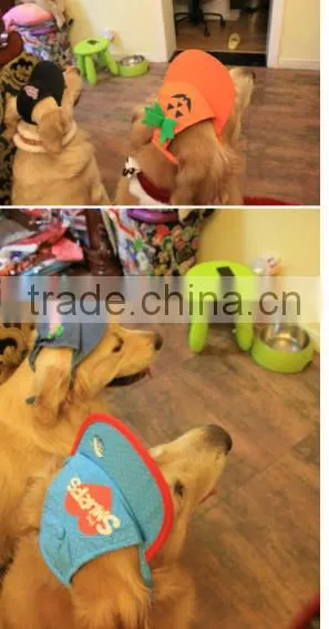 Pumpkin Base Ball Cap for Dog , Dog Pumpkin Base Ball Cap,pumpkin Dog Hat photo-3