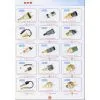 China (Mainland) Brake Light Switch