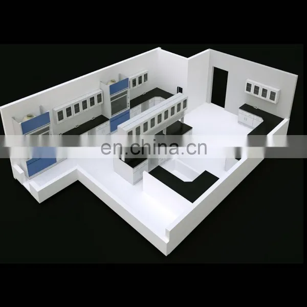 Free and Customized Design Lab GuangZhou Laboratory Furniture Manufacturer photo-5