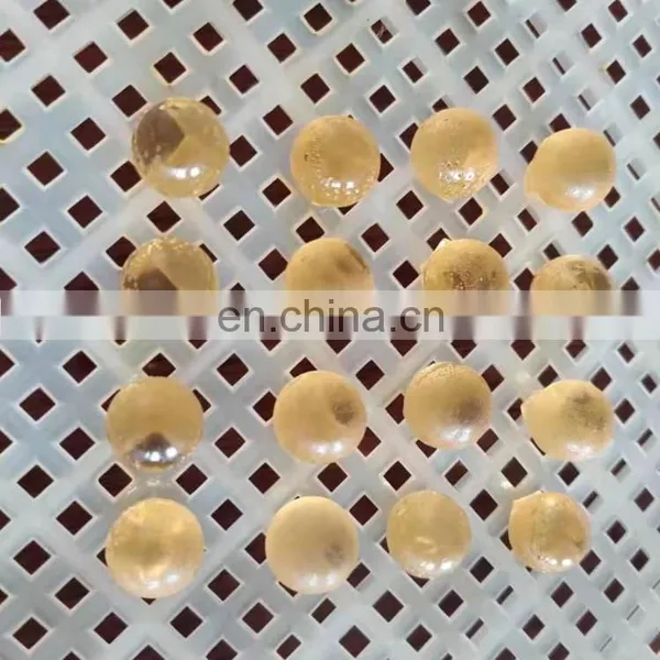 Automatic Jelly /Gummy Candy Making Machine With Low Price photo-4
